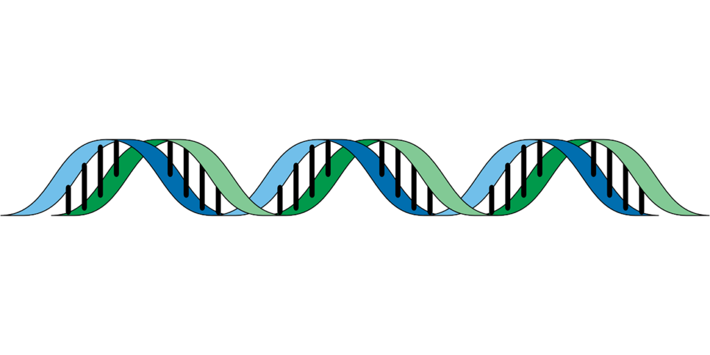 dna, gene, genetic-148807.jpg