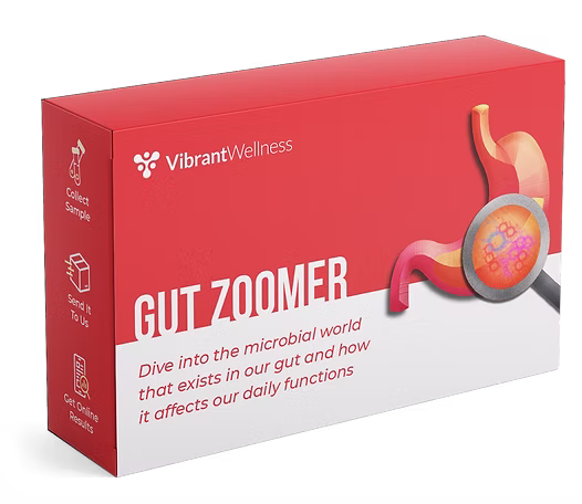 Gut Zoomer